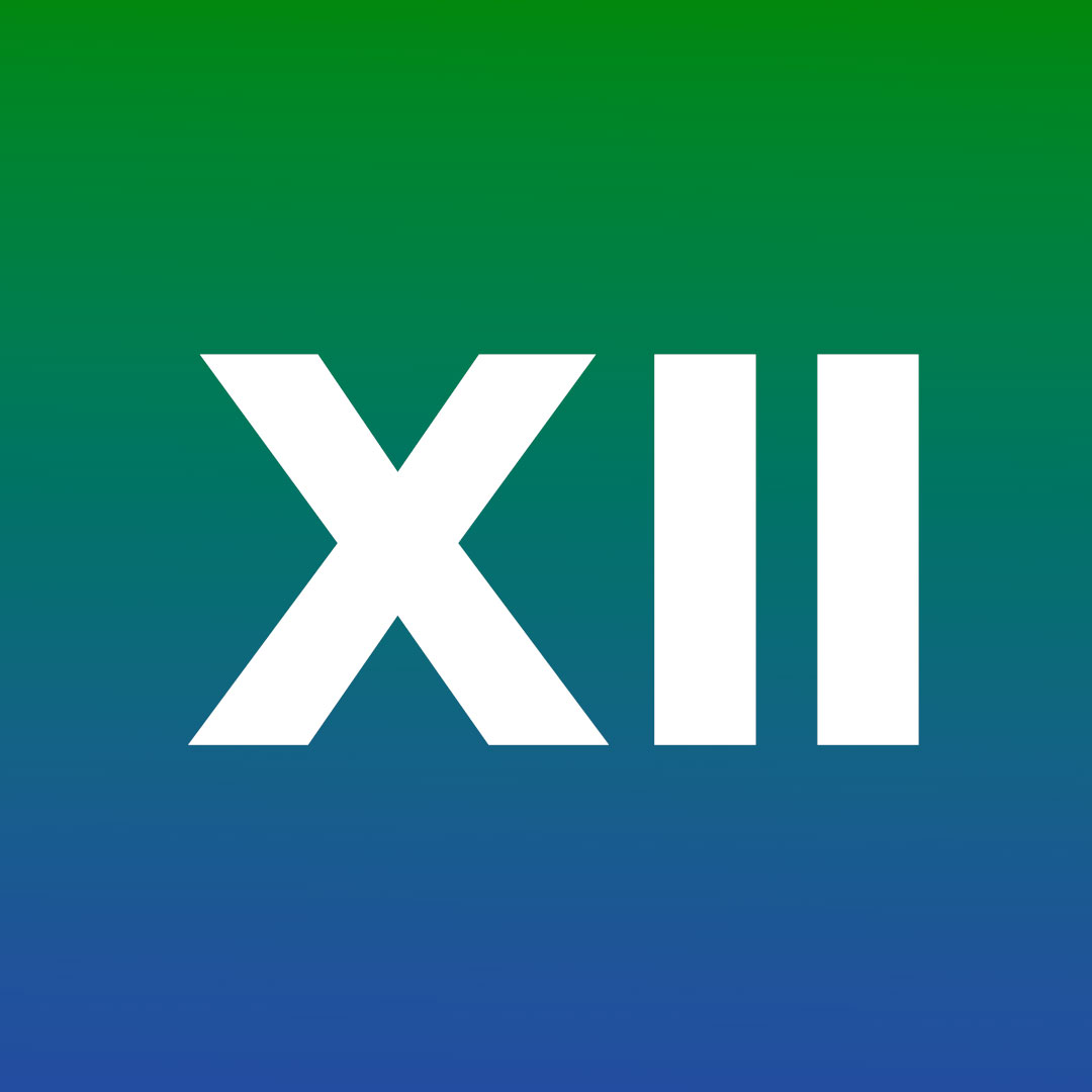 Class 12 (XII) icon